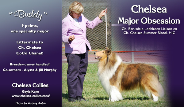 Chelsea -- Chelsea Major Obsession