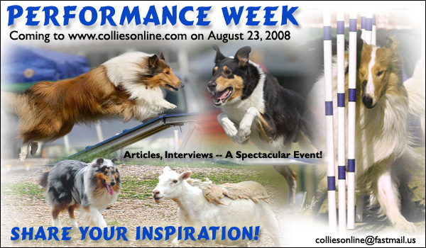 2008 Performance Week on Collies Online