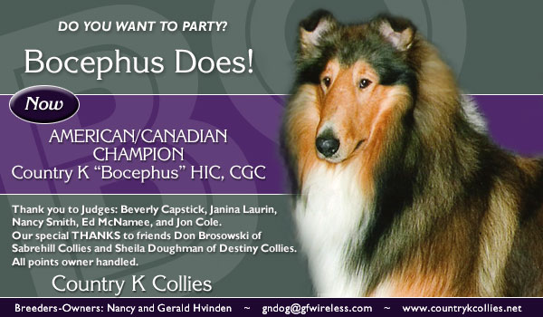 Country K -- AM/CAN CH Country K "Bocephus" HIC, CGC