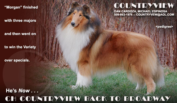 Countryview -- CH Countryview Back To Broadway