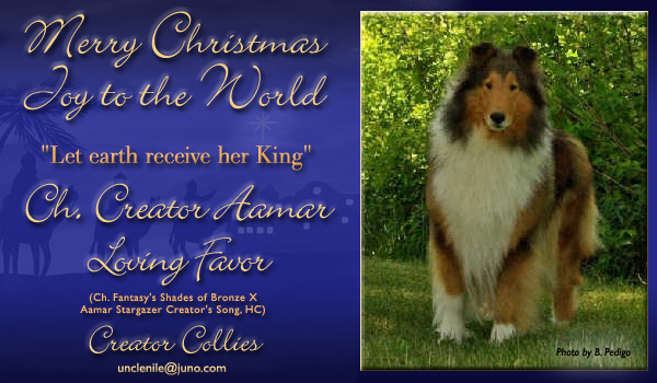 Creator -- CH Creator Aamar Loving Favor