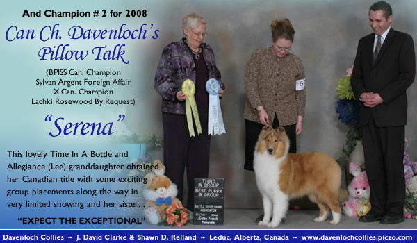 Davenloch -- CAN CH Davenloch's Pillow Talk