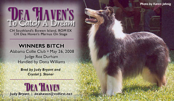 Dea Haven -- Dea Haven's To Catch A Dream