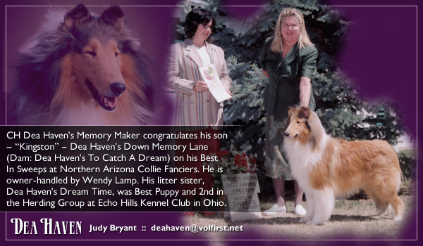 Dea Haven -- Dea Haven's Down Memory Lane