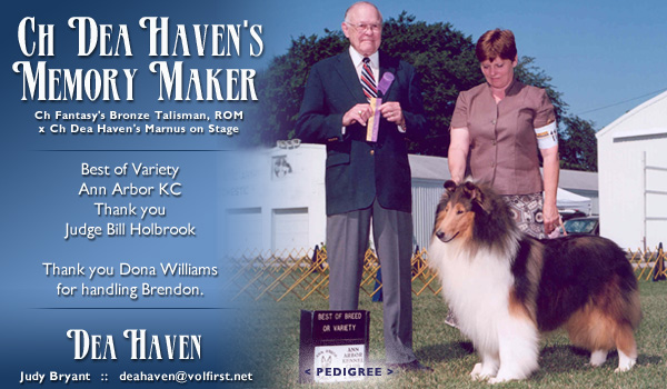 Dea Haven -- CH Dea Haven's Memory Maker
