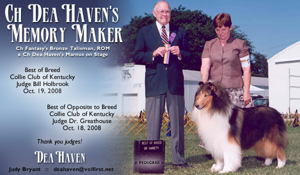 Dea Haven -- CH Dea Haven's Memory Maker