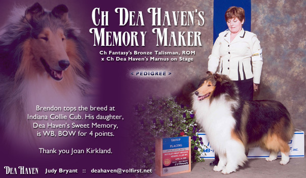 Dea Haven -- CH Dea Haven's Memory Maker
