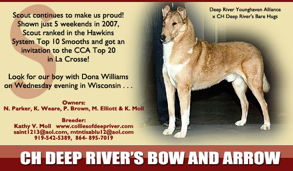 Deep River Collies -- CH Deep River's Bow And Arrow