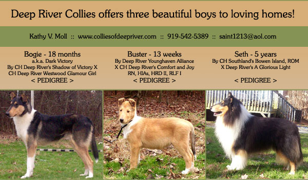 Deep River Collies