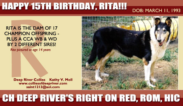 Deep River Collies -- CH Deep River's Right On Red, ROM, HIC