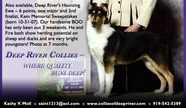 Deep River -- Deep River's Haunting Ewe