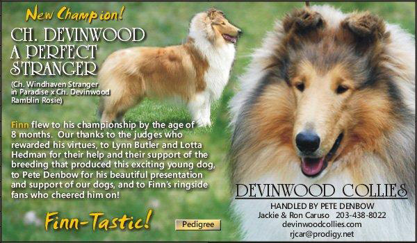 Devinwood -- CH Devinwood A Perfect Stranger