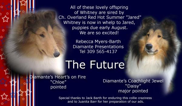 Diamante Presentations -- Diamante's Heart's on Fire and Diamante's Coachlight Jewel