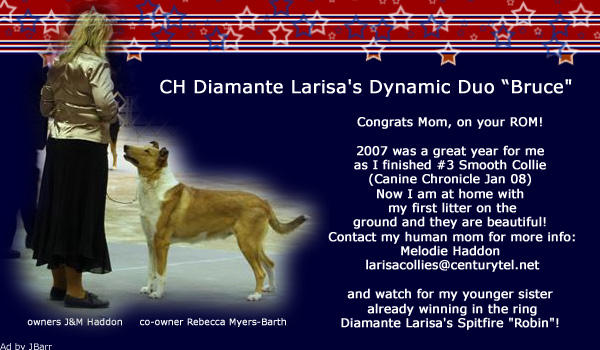Larisa / Diamante -- CH Diamante Larisa's Dynamic Duo