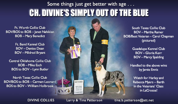 Divine -- CH Divine's Simply Out Of The Blue