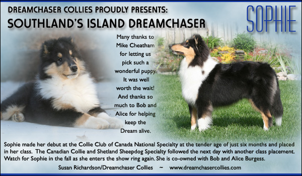 Dreamchaser -- Southland's Island Dreamchaser