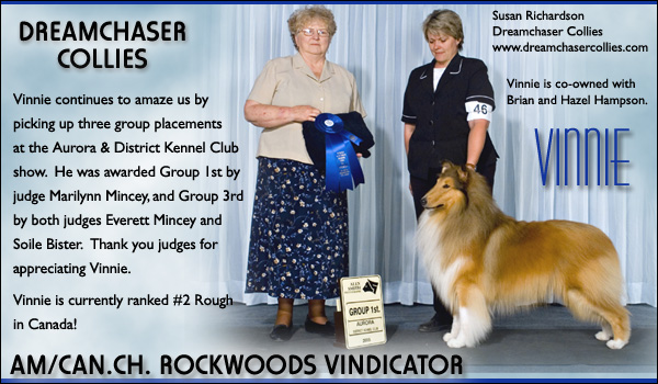 Dreamchaser -- AM/CAN CH Rockwoods Vindicator