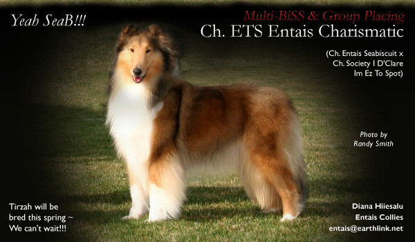 Entais -- CH ETS Entais Charismatic