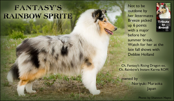 Noriyuki Muraoka -- Fantasy's Rainbow Brite