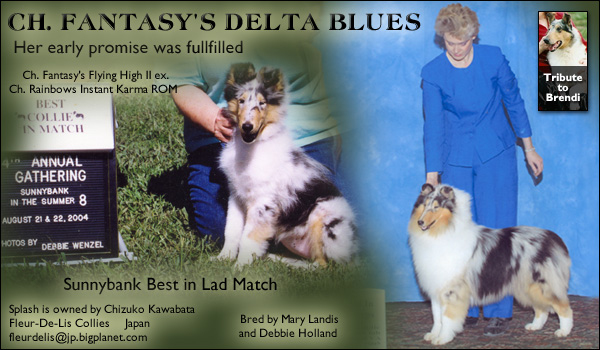 Fleur-De-Lis -- CH Fantasy's Delta Blues