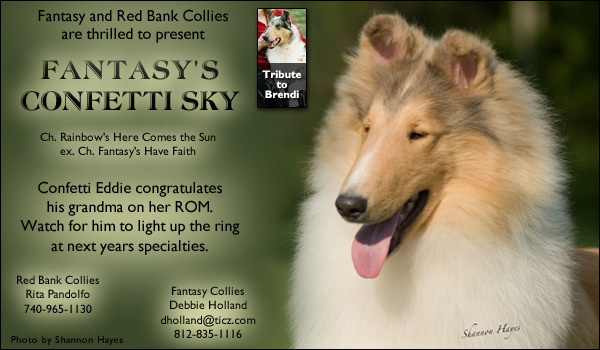 Fantasy/Red Bank -- Fantasy's Confetti Sky