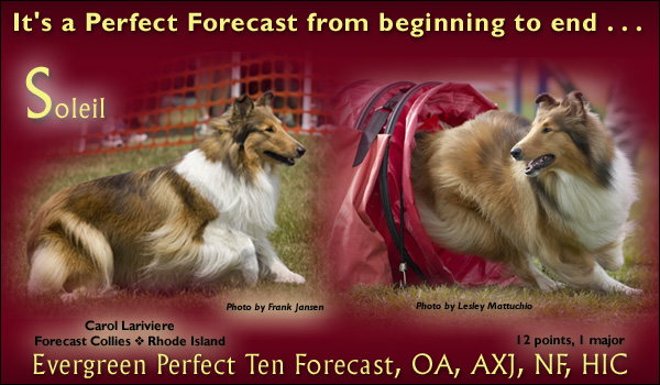 Forecast -- Evergreen Perfect Ten Forecast, OA, AXJ, NF, HIC