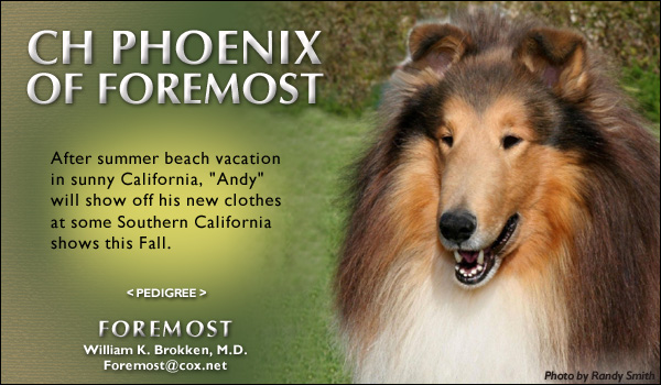 Foremost -- CH Phoenix Of Foremost