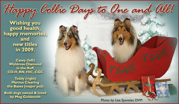 Meg Goldsmith -- Wyldrose Diamond in the Ruff, CD-H, RN, HIC, CGC and Marnus Clearing the Bases