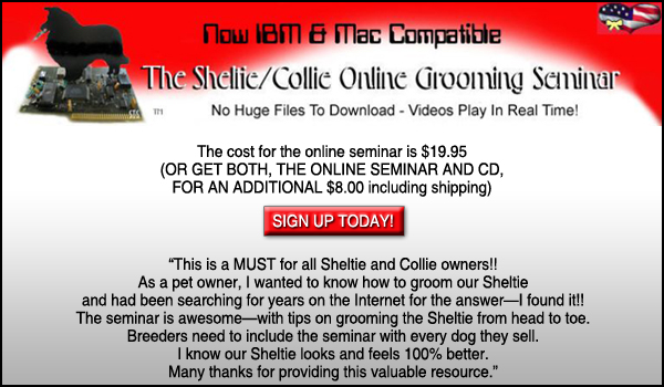 The Sheltie / Collie Online Grooming Seminar