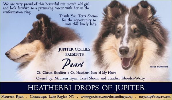 Jupiter -- Heatherri Drops Of Jupiter