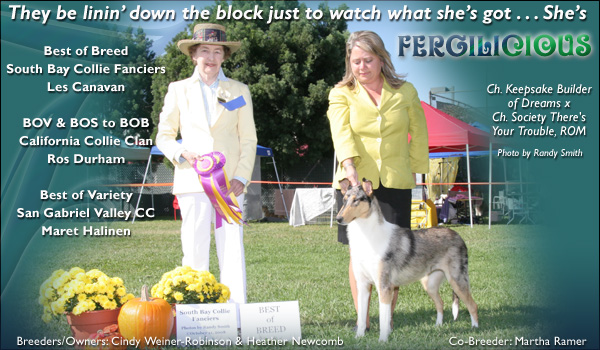 Keepsake / Edenrock -- CH Edenrock Keepsake Fergilicious