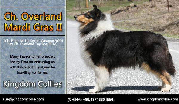 Kingdom -- CH Overland Mardi Gras II