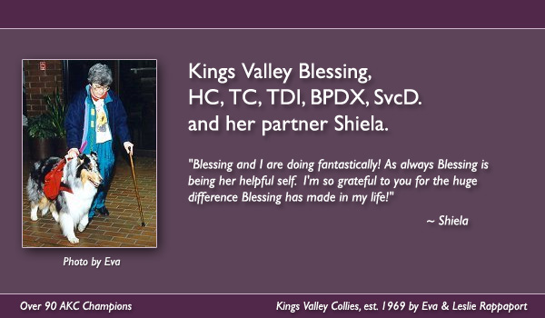 Kings Valley Blessing, HC, TD, TDI, BPDX