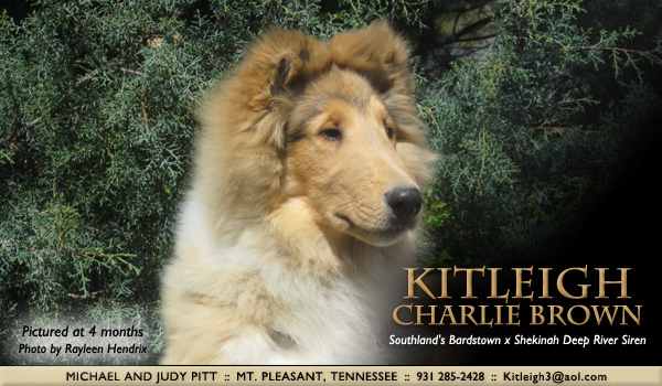 Kitleigh -- Kitleigh Charlie Brown