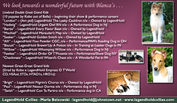 Legendhold Collies -- Tribute to CH Bellagio Platinum Perfection HIC