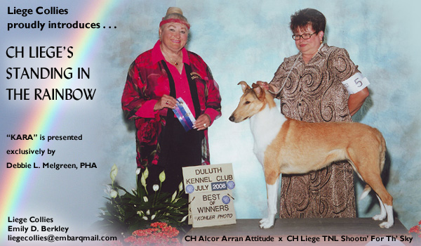 Liege -- CH Liege's Standing In The Rainbow