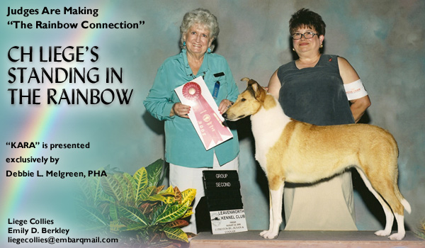 Liege -- CH Liege's Standing In The Rainbow