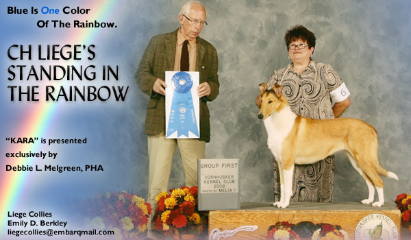 Liege -- CH Liege's Standing In The Rainbow