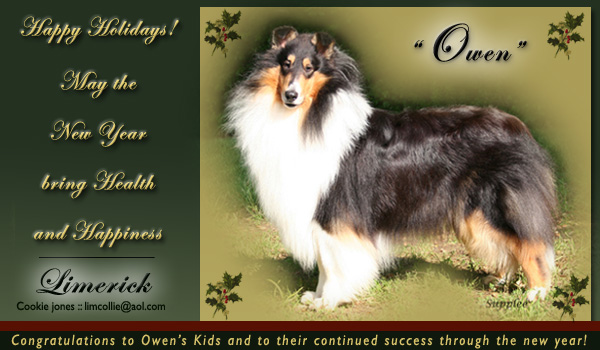 Limerick Collies -- CH Limericks Tartanside Patriot