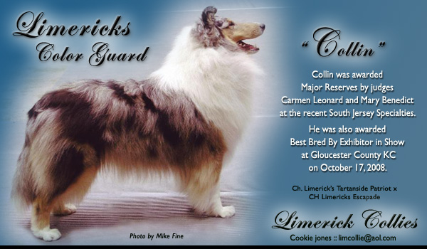 Limerick Collies -- Limericks Color Guard