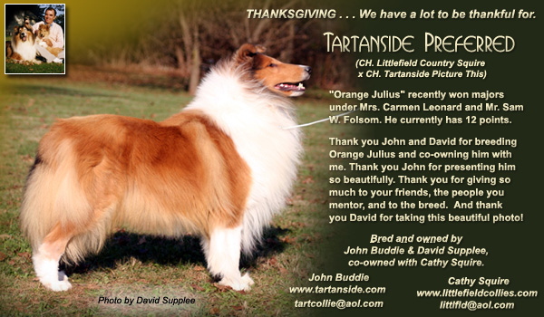 Littlefield -- Tartanside Preferred