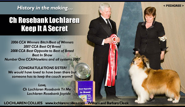 Lochlaren -- CH Rosebank Lochlaren Keep It A Secret