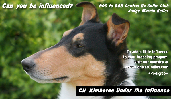 Lorimar/Kimberee -- CH Kimberee Under The Influence