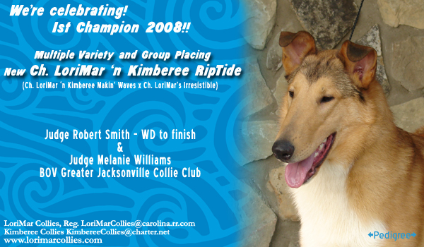 Lorimar/Kimberee -- CH LoriMar 'n Kimberee RipTide