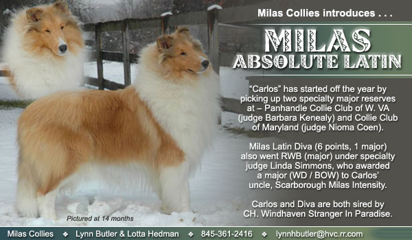 Milas -- Milas Absolute Latin