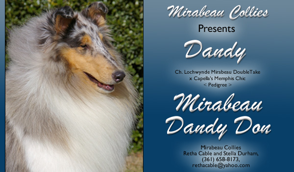 Mirabeau -- Mirabeau Dandy Don