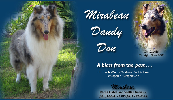 Mirabeau -- Mirabeau Dandy Don