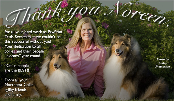 Northeast Collie agility friends -- Thank you Noreen