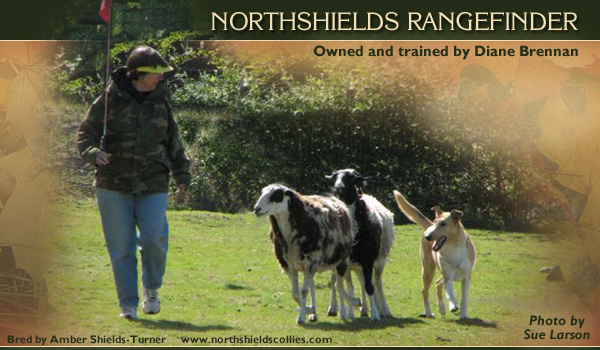 Northshields -- Northshields Rangefinder