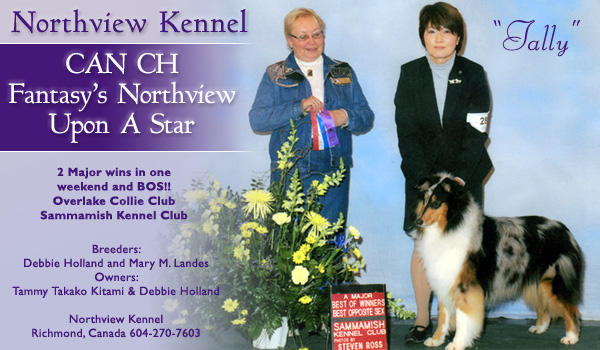 Northview -- CAN CH Fantasy's Northview Upon A Star